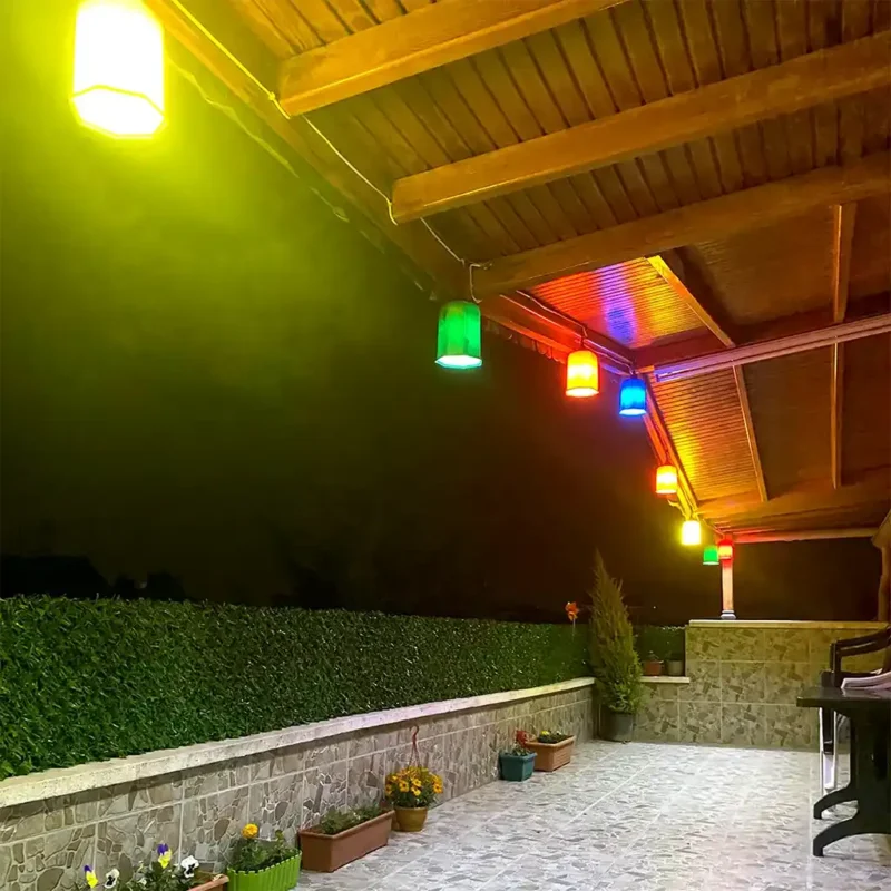Ağaç Feneri 2024